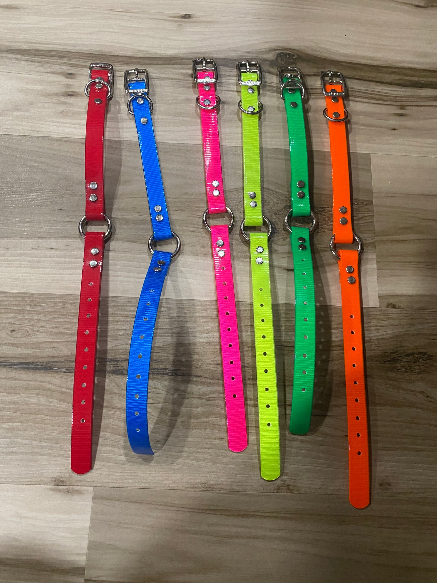 Day Glow 3/4" Dog Collar