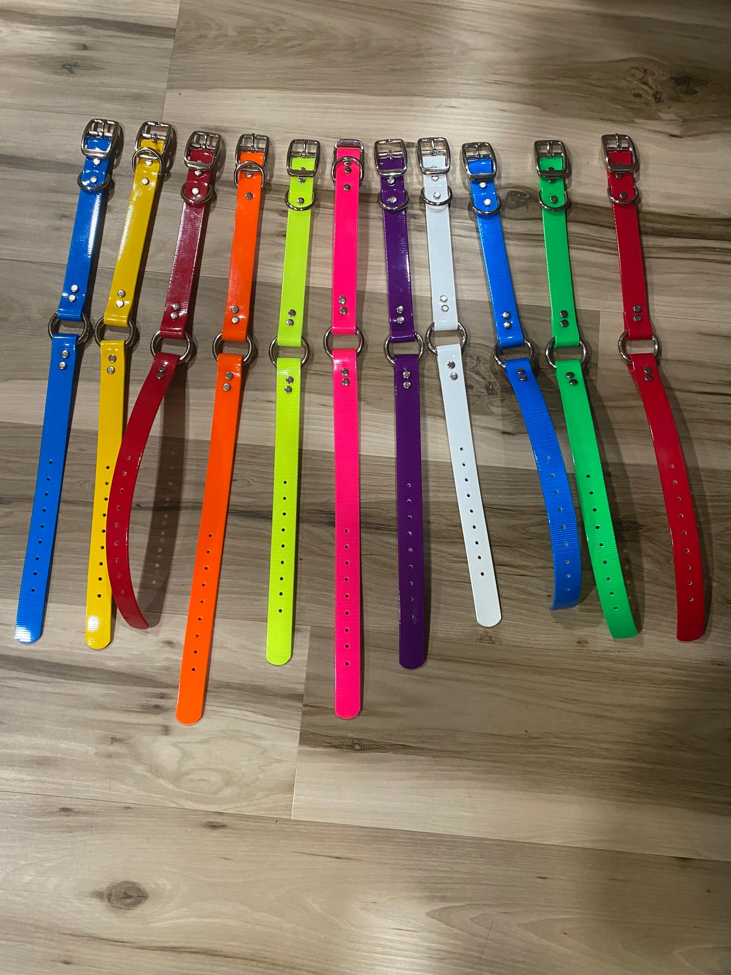 Day Glow 1" Dog Collars