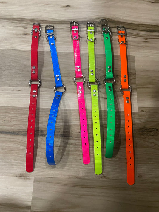 Day Glow 3/4" Dog Collar