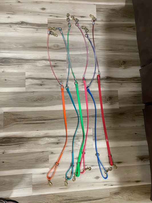 Beta and Cable Dog Lead